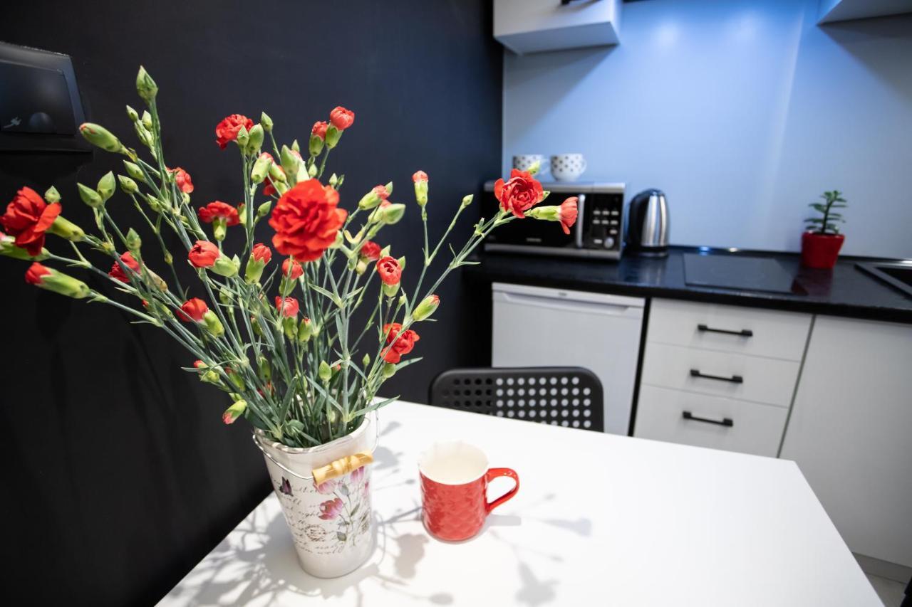 Apartamento Milky Way Szczytna Stary Toruń Exterior foto
